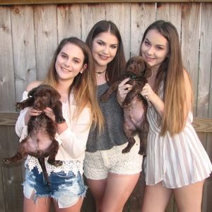 Meet your Posher, Grace